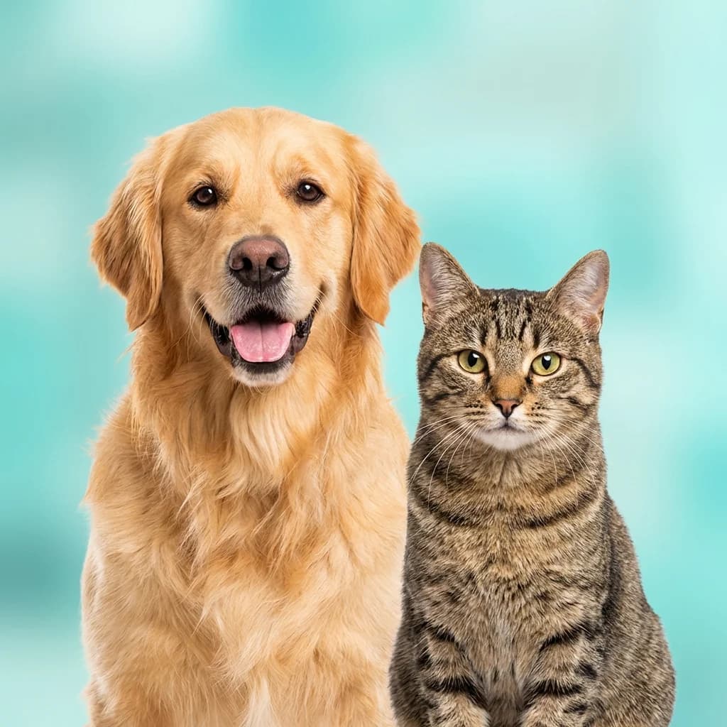 العلامات التجارية